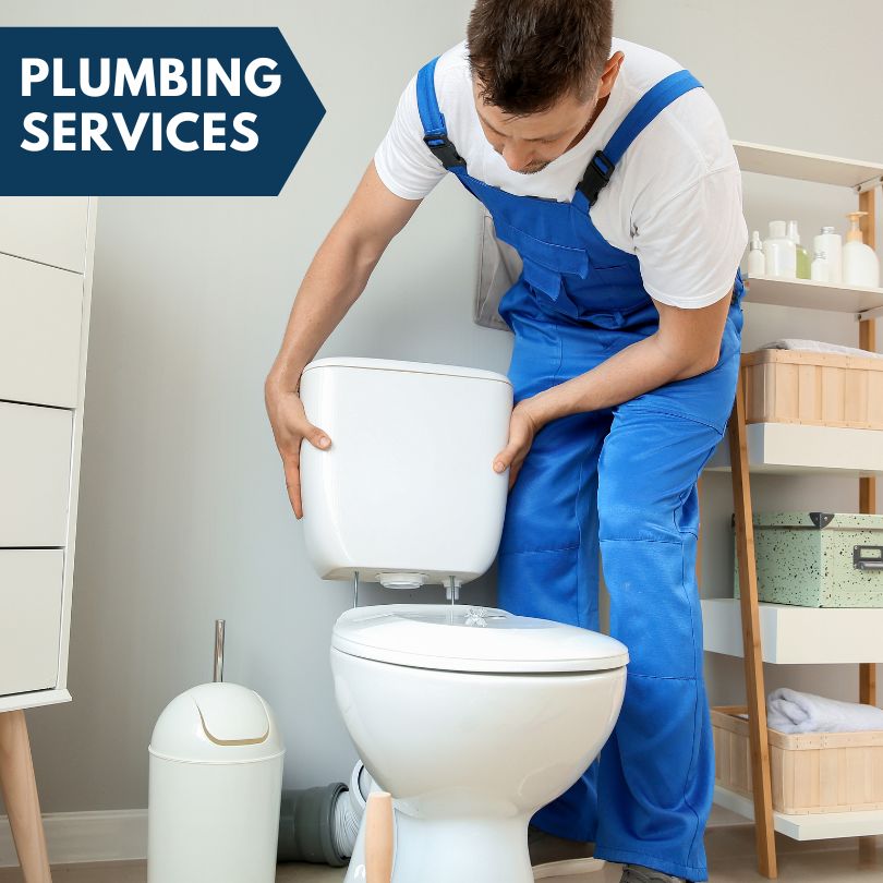 Plumbing Company in Saranac, MI